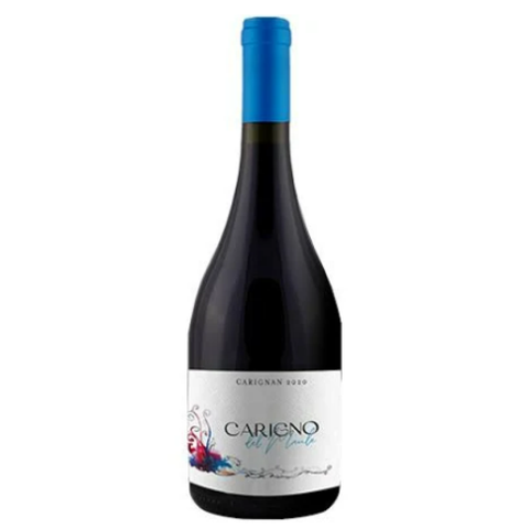 Moretta Carigno del Maule Premium - Vino Tinto Viñas Antiguas 75