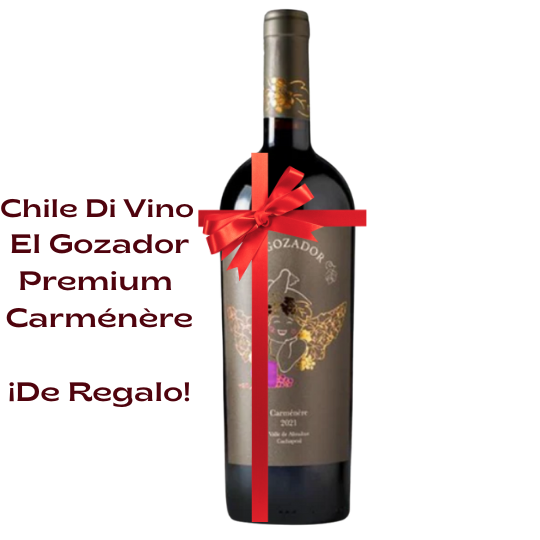 Ruta del Carménère Chileno