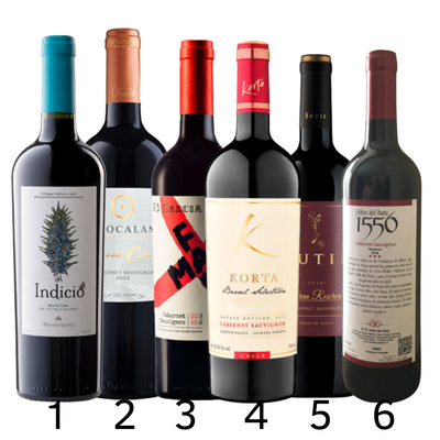 Ruta del Cabernet Sauvignon