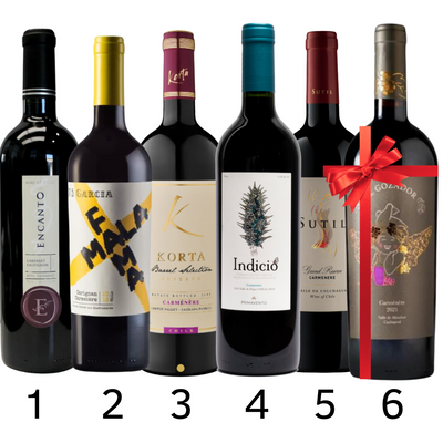 Ruta del Carménère Chileno