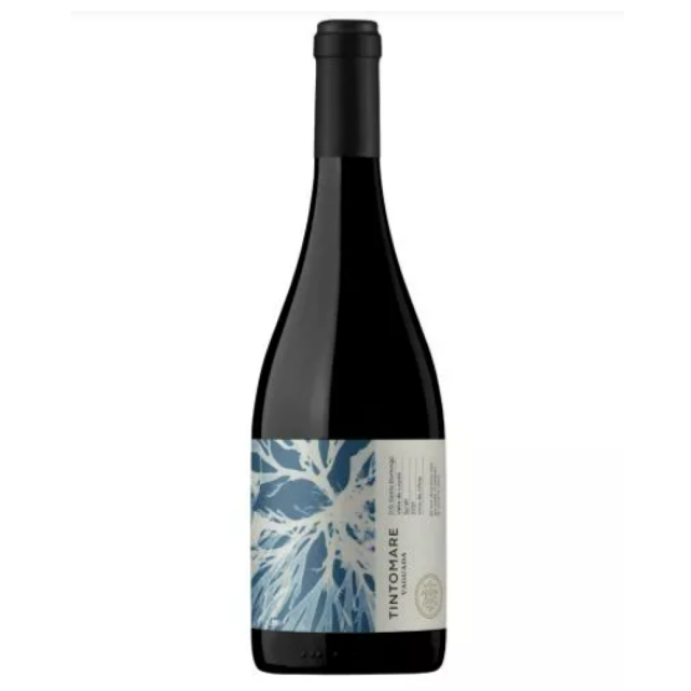 Tintomare, Vaguada Syrah Premium valle de Leyda