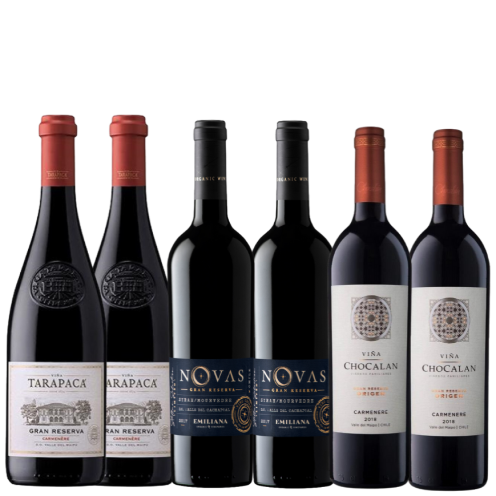 Pack Gran Reserva Carménère y Ensamblaje