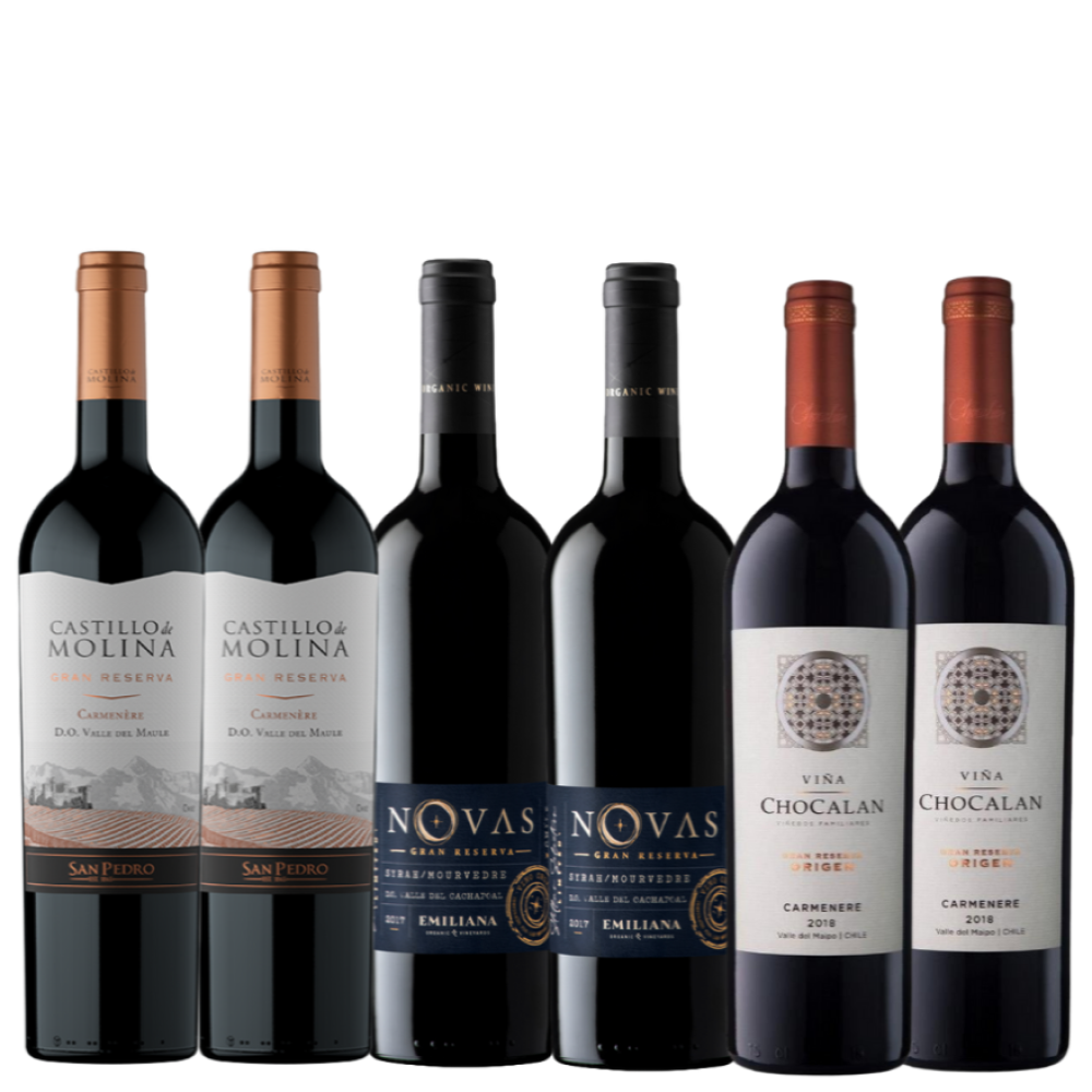 Pack Gran Reserva Carménère y Ensamblaje