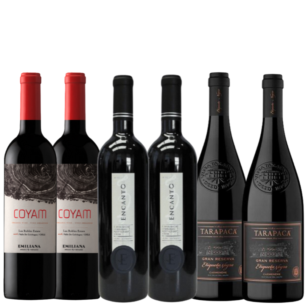 Pack Premium Coyam - El Encanto - Tarapacá