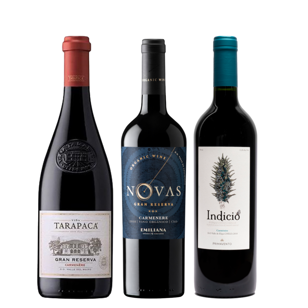 Pack #5 Gran Reserva Carménère 3 valles (Elqui, Colchagua y Maule)