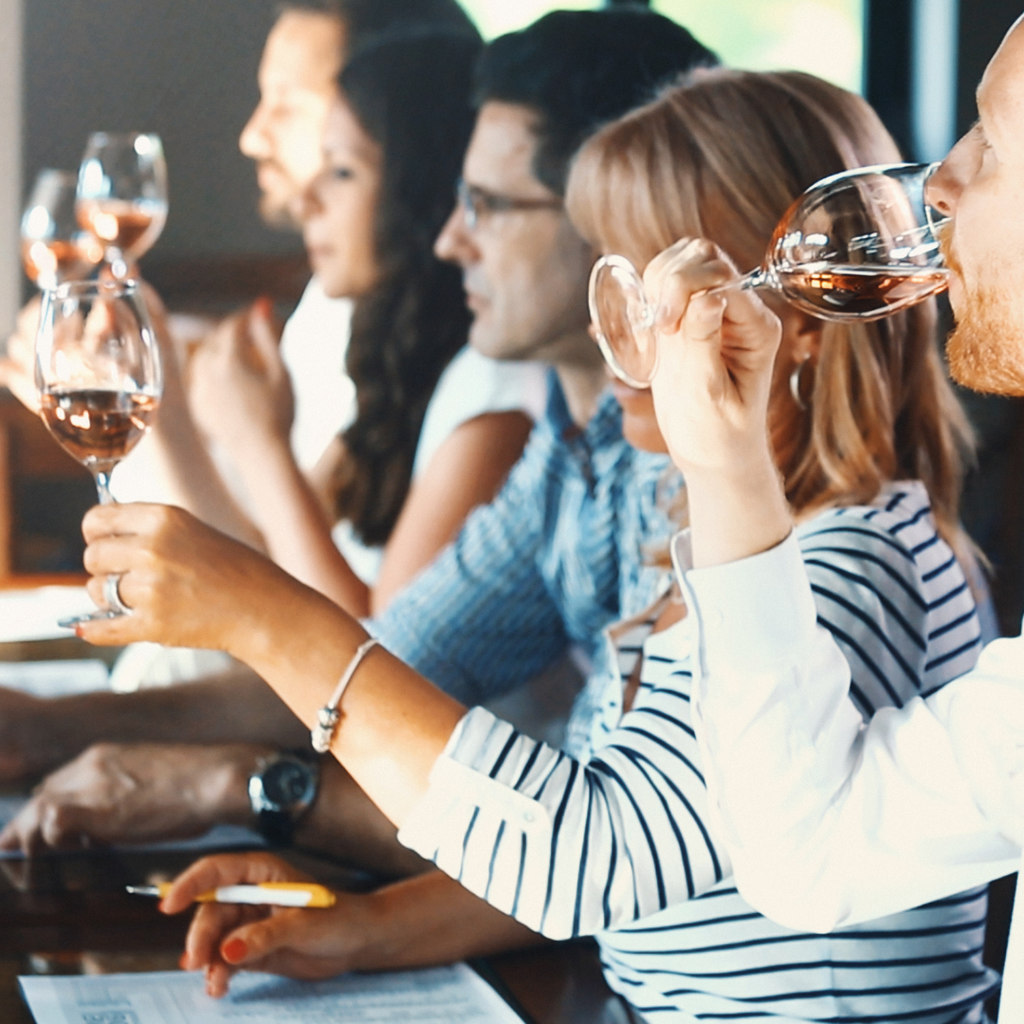 Cata nivel experto (en línea)