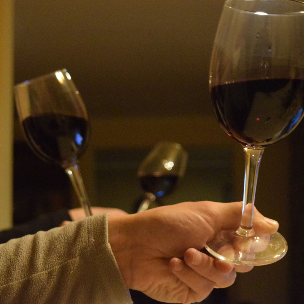 Cata nivel inicial (en línea)