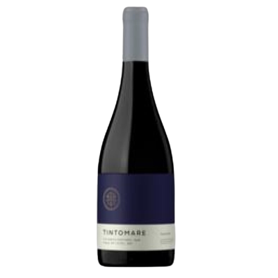 Tintomare, Syrah Premium valle de Leyda